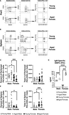 Age-related changes in antigen-specific natural antibodies are influenced by sex